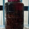 Rượu táo mèo (chai)